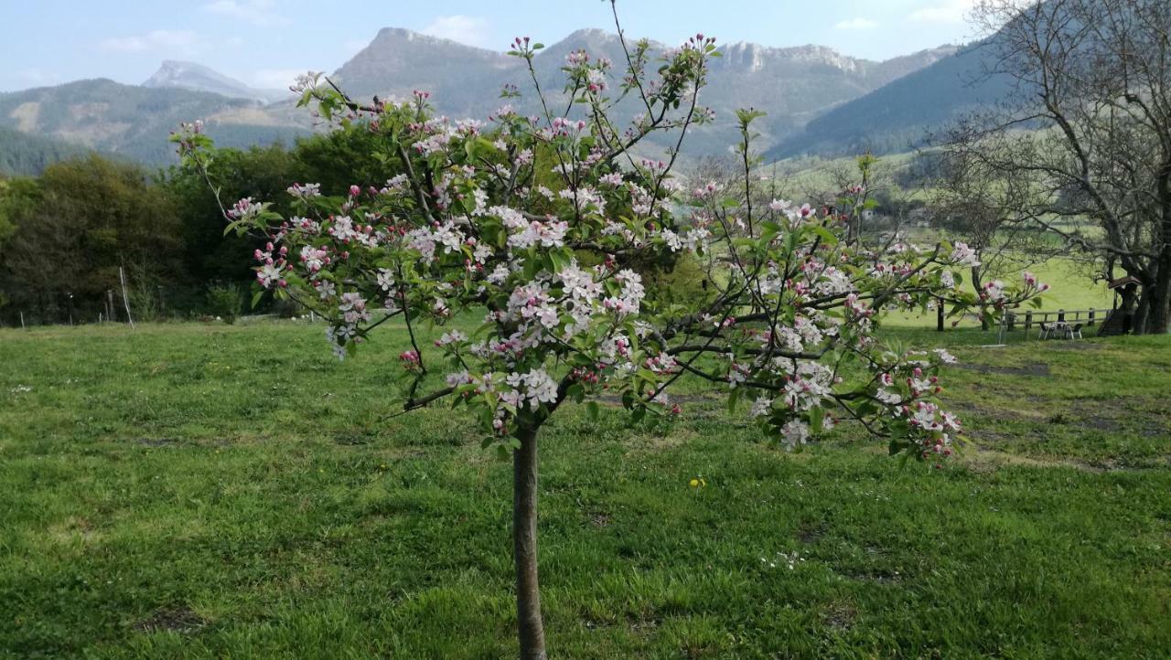 Casa Rural Urkulu Landetxea Arechavaleta Esterno foto